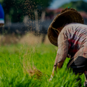 Aksiforjustice - Keadilan Ekonomi